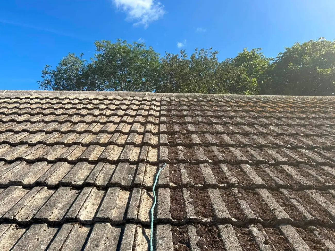 Roof moss removal in progress, clean tiles next to mossy tiles